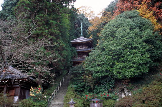 奈良の塔 松尾寺三重塔